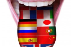 Где заказать перевод текстов на иностранный язык?