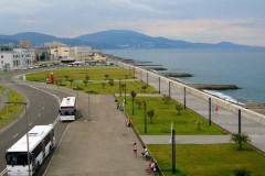Как организовать отдых в Адлере в отеле «Арли»?